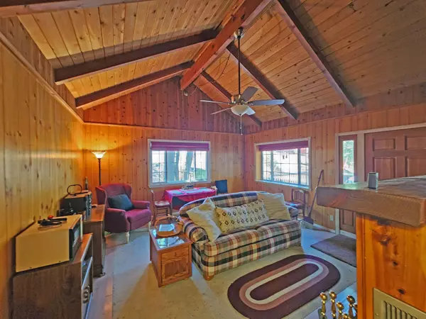 Arrowbear, CA 92382,2481 Spruce DR