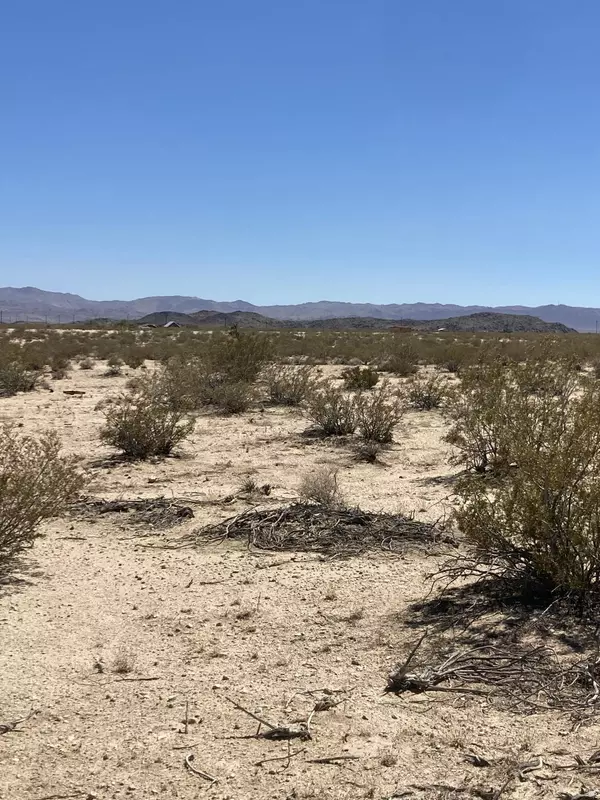 Joshua Tree, CA 92252,66055 Mars DR