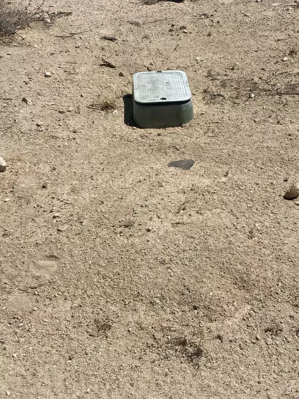 Joshua Tree, CA 92252,66055 Mars DR