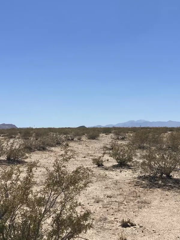 Joshua Tree, CA 92252,66055 Mars DR