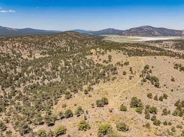 550 Eagle RDG, Big Bear City, CA 92314