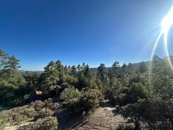 Idyllwild, CA 92549,0 Howland RD