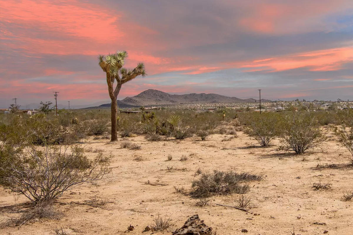 Joshua Tree, CA 92252,401 Stonehill AVE