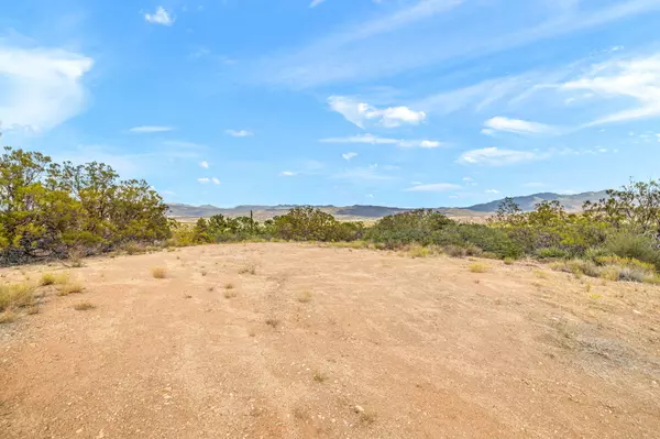 Anza, CA 92539,58700 Mica RD