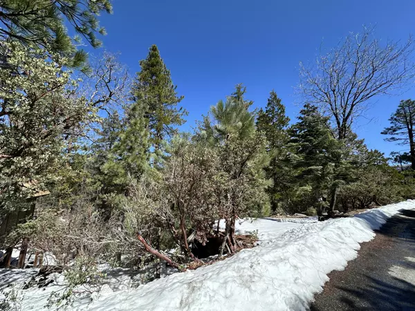 0 Big Rock, Idyllwild, CA 92549