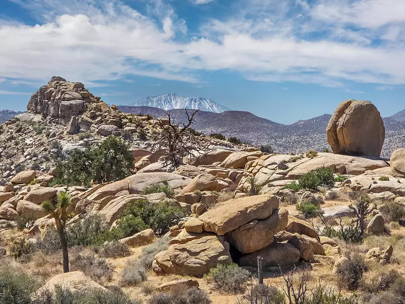 101 Hondo ST, Pioneertown, CA 92268