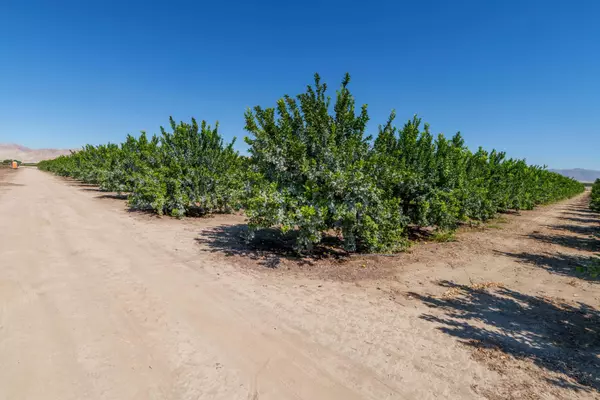 Mecca, CA 92254,0 Wheeler St & Ave 67