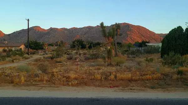 Joshua Tree, CA 92252,60307 Alta Loma DR