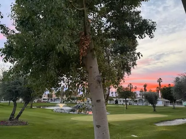 84136 Ave 44, #744 #744, Indio, CA 92203