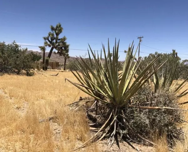 Joshua Tree, CA 92252,108 Granada DR