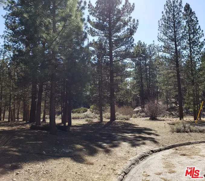 0 Bedford Ct, Big Bear, CA 92314