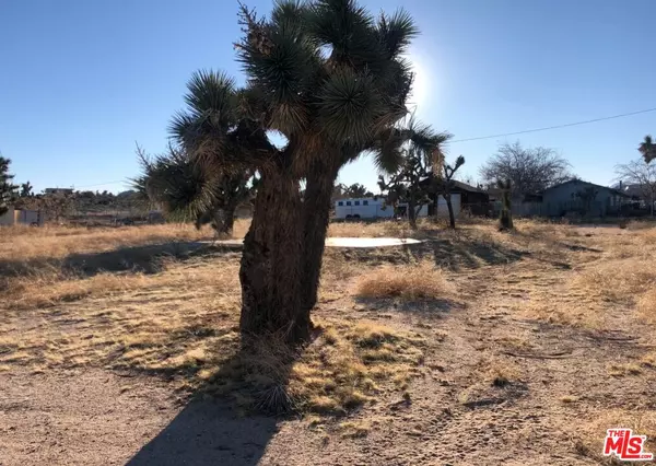 Yucca Valley, CA 92284,57215 Buena Vista Rd