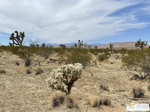 Joshua Tree, CA 92284,Verbena Rd.