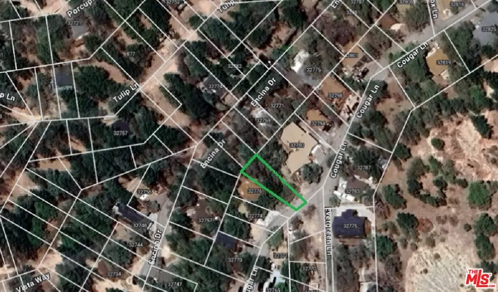 32780 Cougar Ln, Running Springs, CA 92382