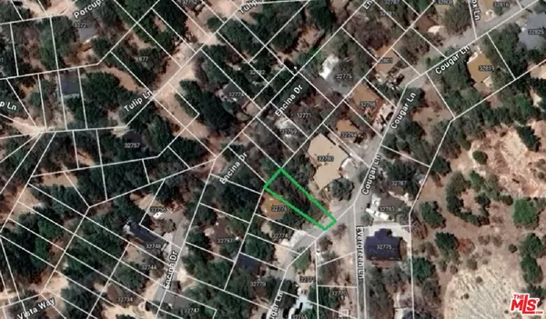 32780 Cougar Ln, Running Springs, CA 92382