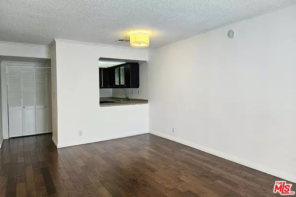 Glendale, CA 91206,618 N Howard St #241