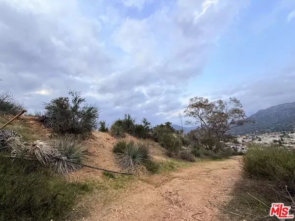 Tujunga, CA 91042,9735 N Estaban Way