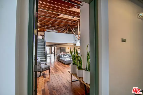 Venice, CA 90292,1046 Princeton Dr #205