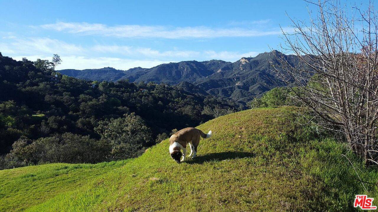 22755 Chamera Ln, Topanga, CA 90290