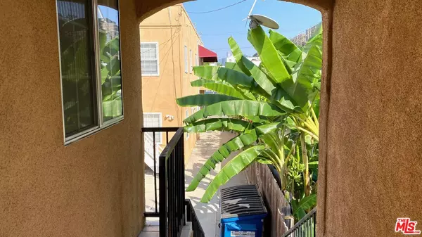 Los Angeles, CA 90006,1037 Irolo St