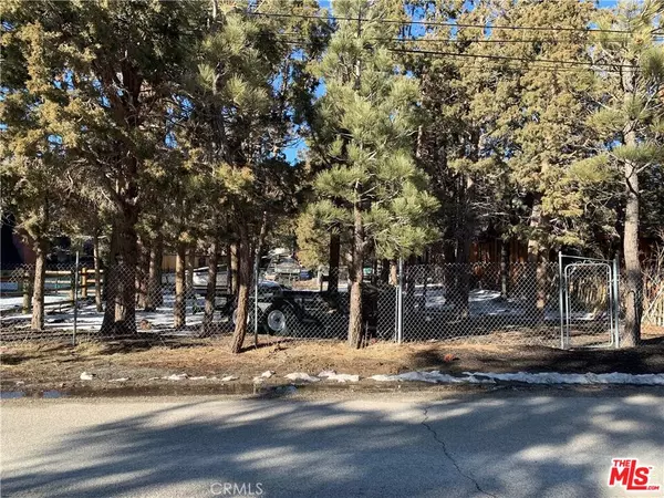 Big Bear City, CA 92314,0 E Mountain View Blvd