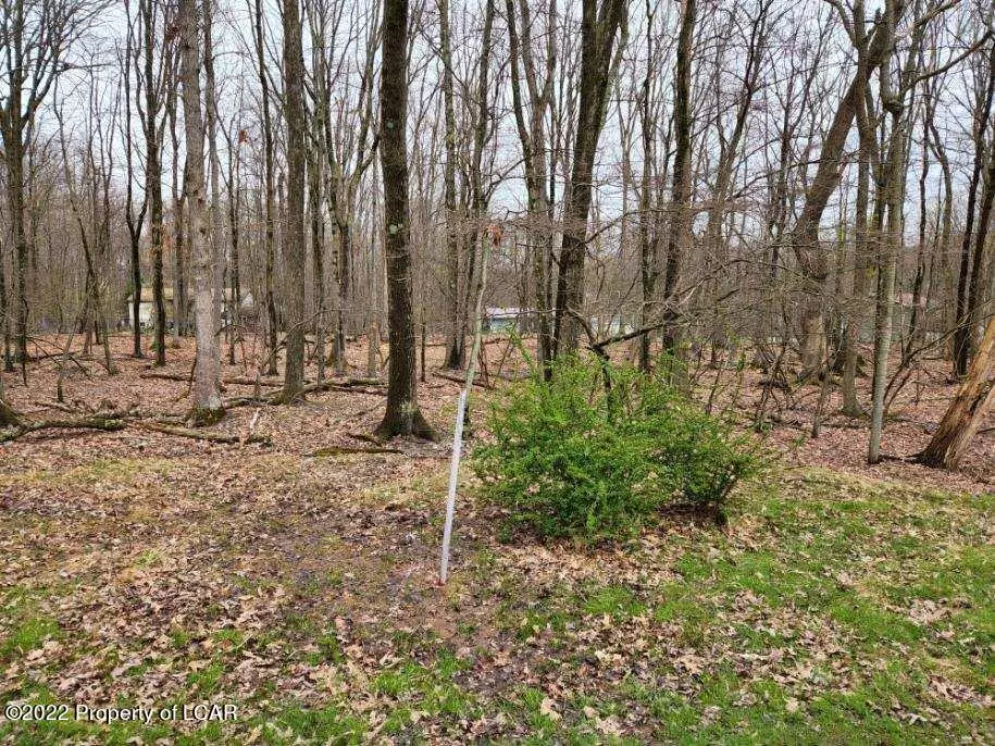 White Haven, PA 18661,Lot 018 Spring Water Drive