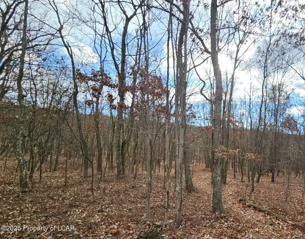 Hazleton, PA 18202,AV2 030 Sisilia Lane