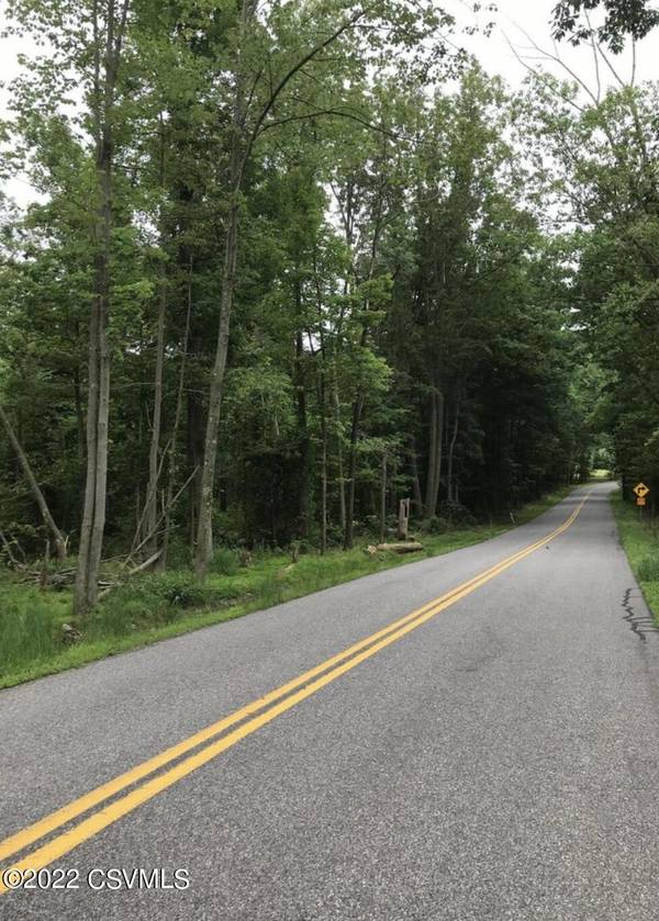 LOT 2 MOUNTAIN Road, Elysburg, PA 17824