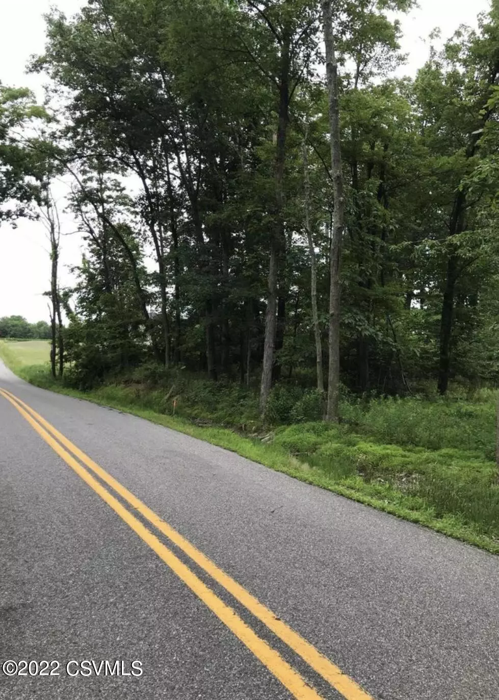 Elysburg, PA 17824,LOT 4 MOUNTAIN Road