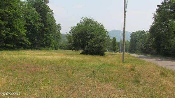 LOT 4 ELK GROVE RD Road, Benton, PA 17814