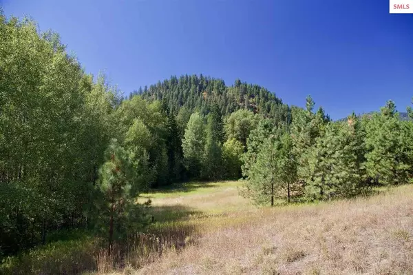 Priest River, ID 83856,135 Mundy Lane