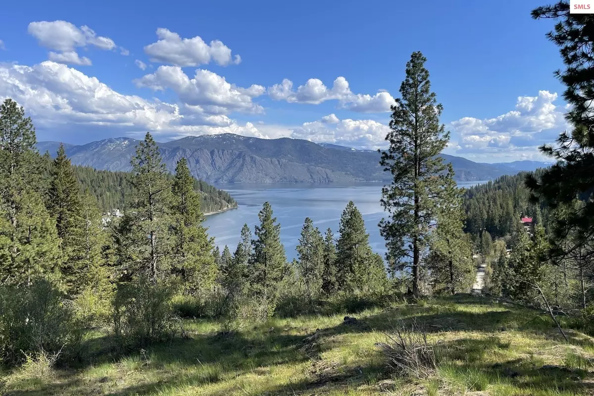 Sagle, ID 83860,NNA Red Hawk Landing Lot 2