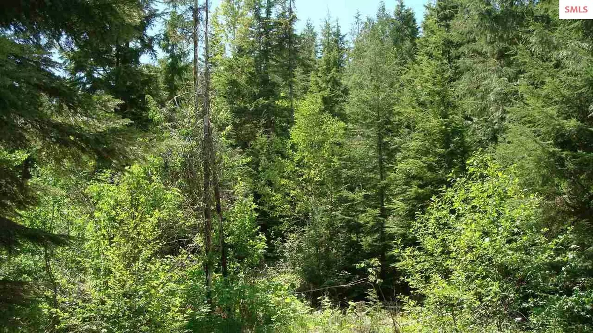 Clark Fork, ID 83811,40 Ac Mosquito Creek Rd