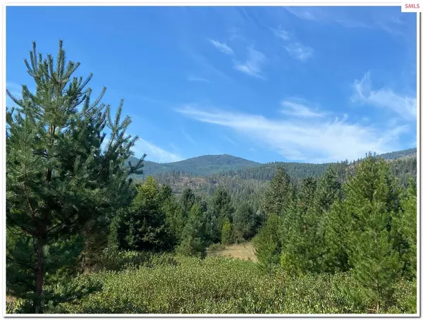 Lot 1 Willow Ln, Naples, ID 83847