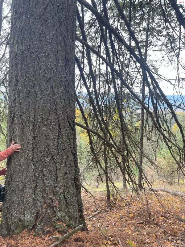 Naples, ID 83847,NNA Xmas Hills Lot 48