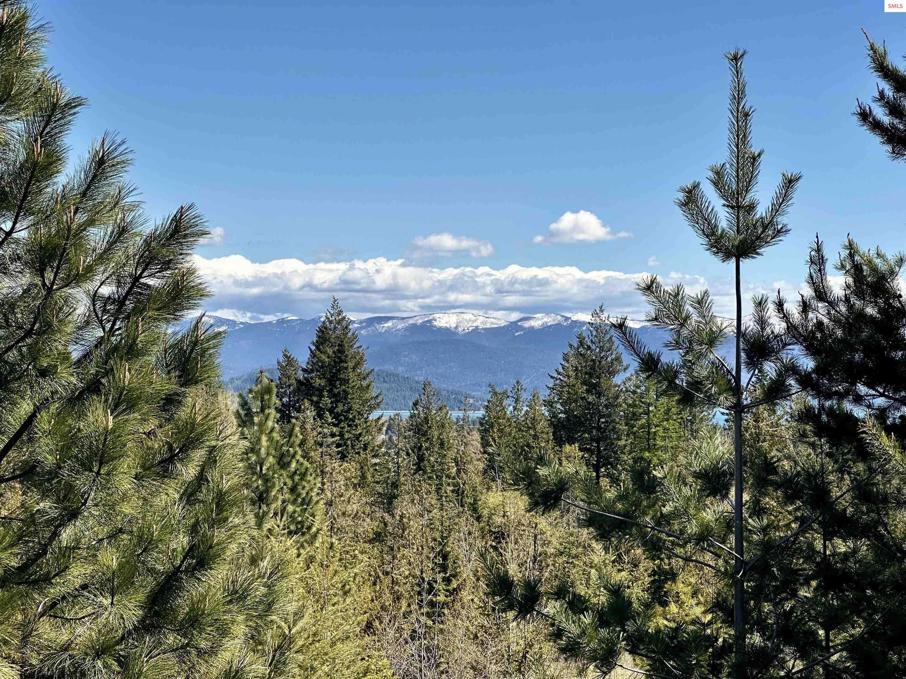 124 Conifer Trail, Dover, ID 83825