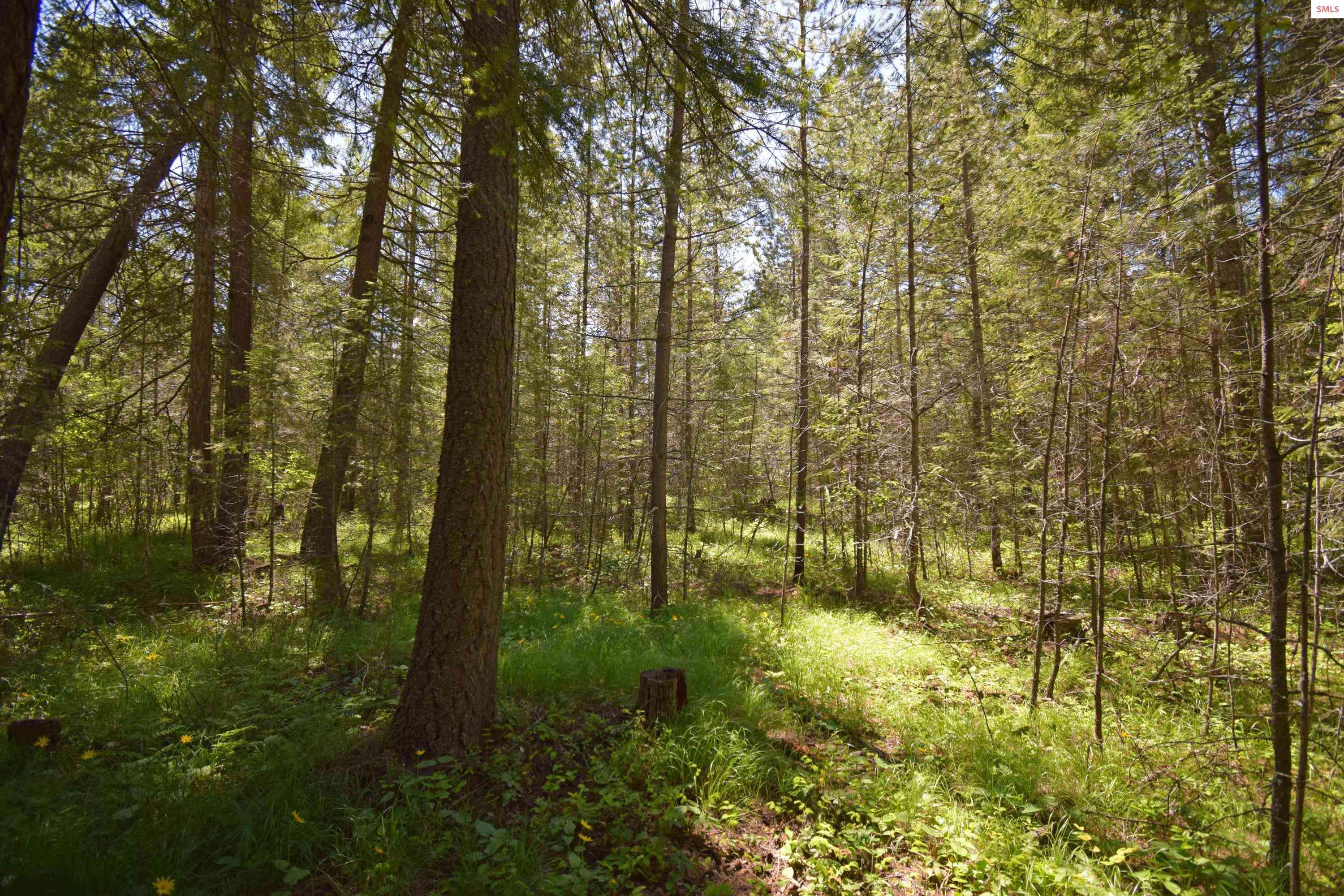 Lot 22 Syringa Dr, Bonners Ferry, ID 83805-0000