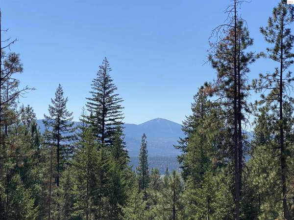 NNA Stone Rd Lot 1, Blanchard, ID 83804
