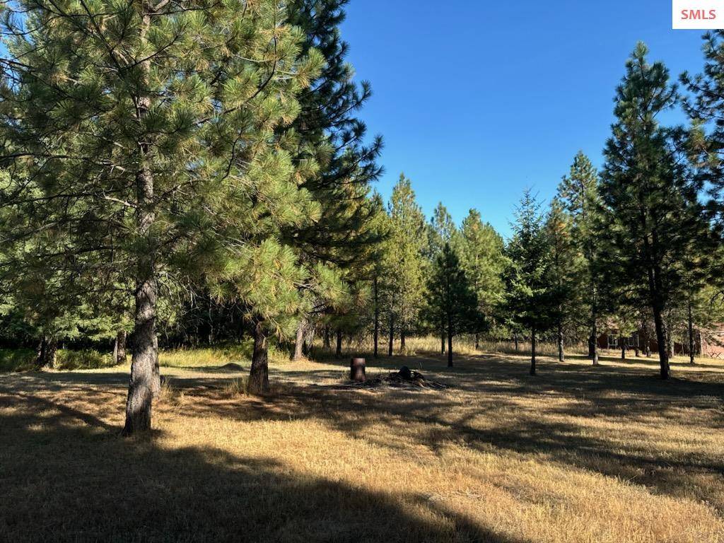 Oldtown, ID 83822,NKA S Diamond Heights Rd (Lot 29)
