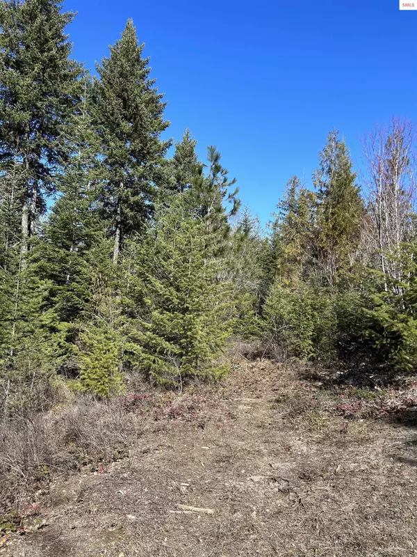 NNA Blacktail Rd, Cocolalla, ID 83813