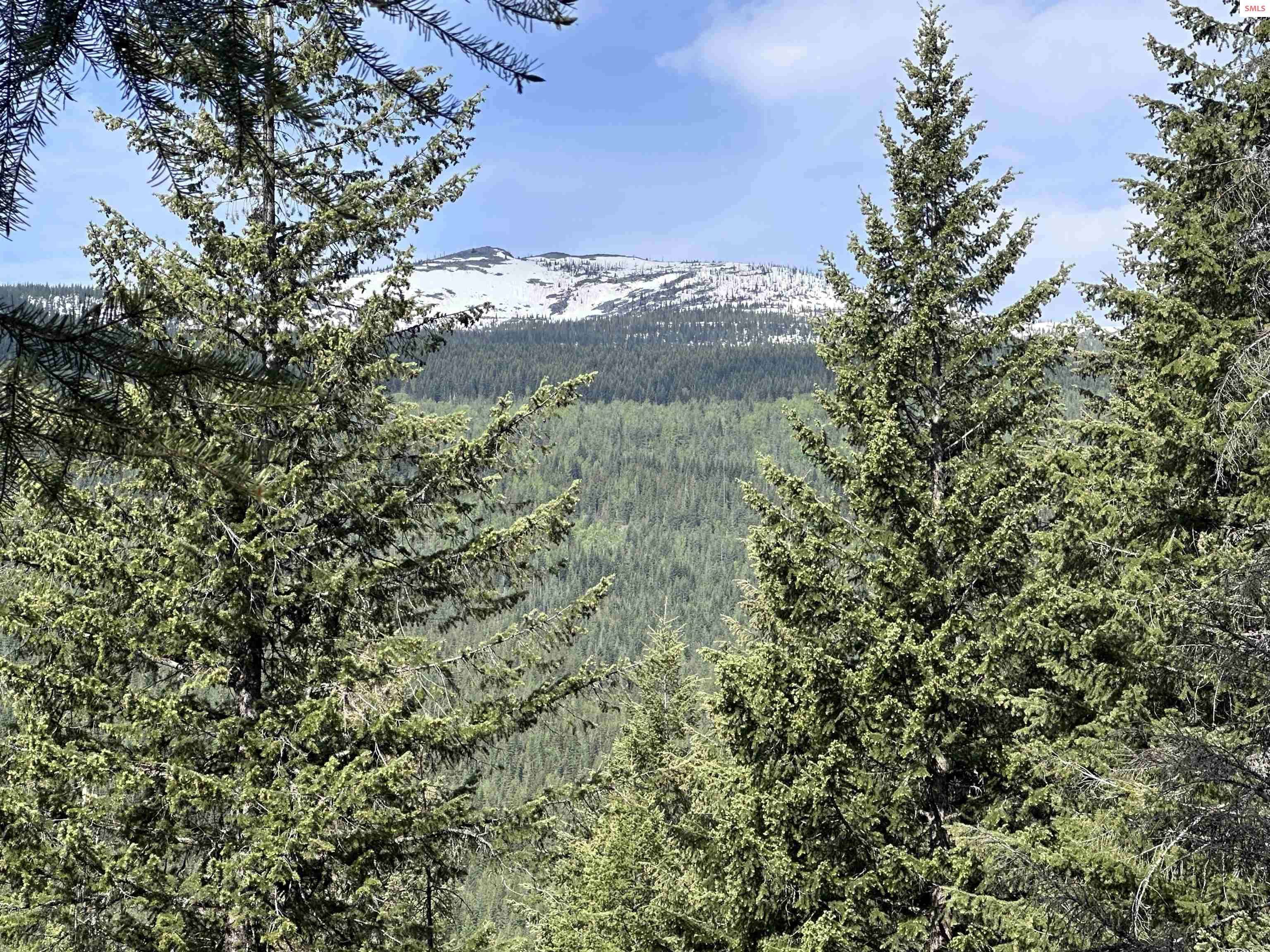 755 Twilight Lane, Sandpoint, ID 83864