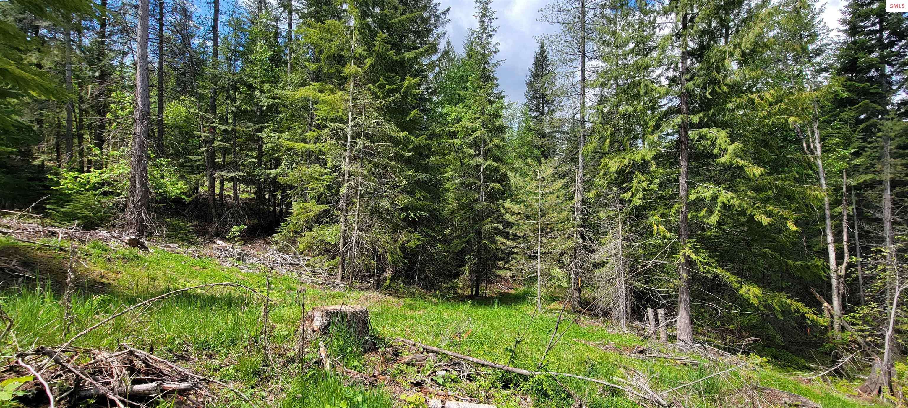 Priest River, ID 83856,NNA Pup Paw Trail