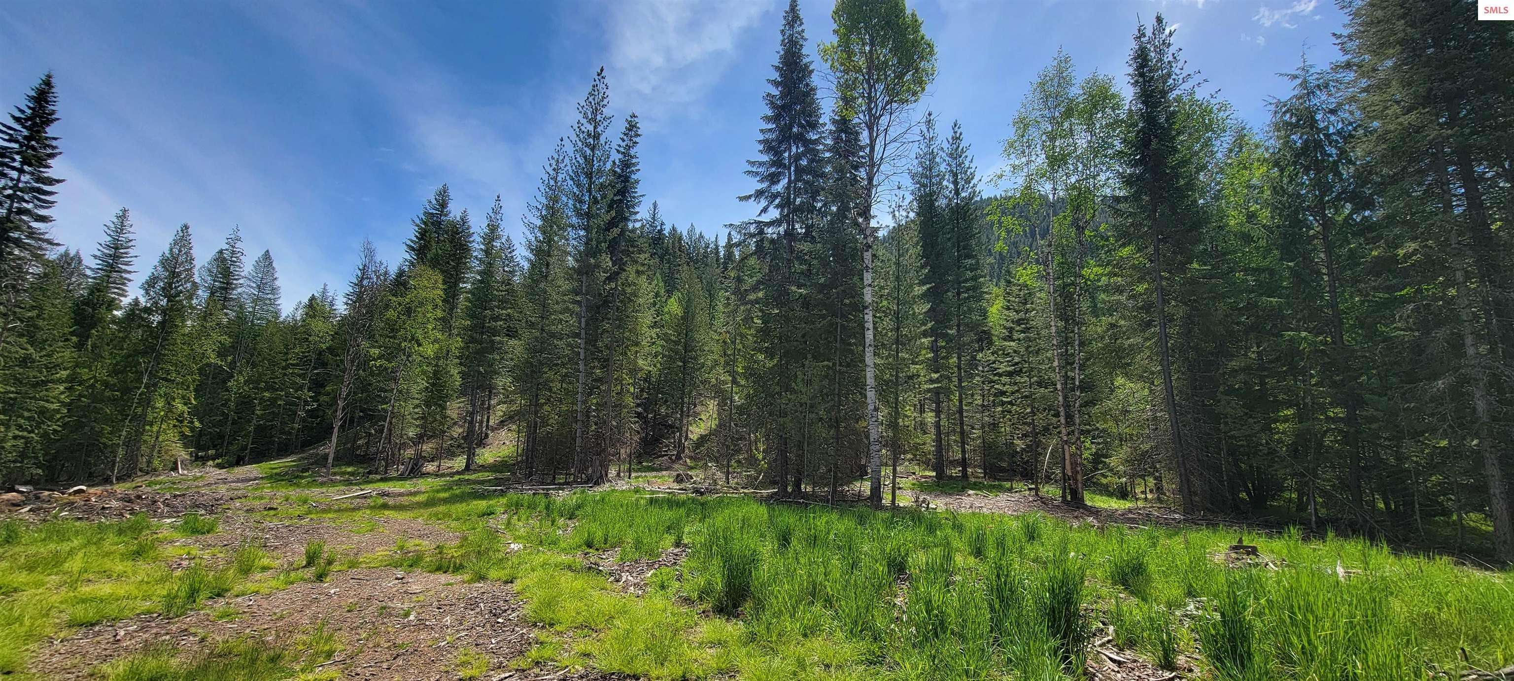 Priest River, ID 83856,NNA Pup Paw Trail