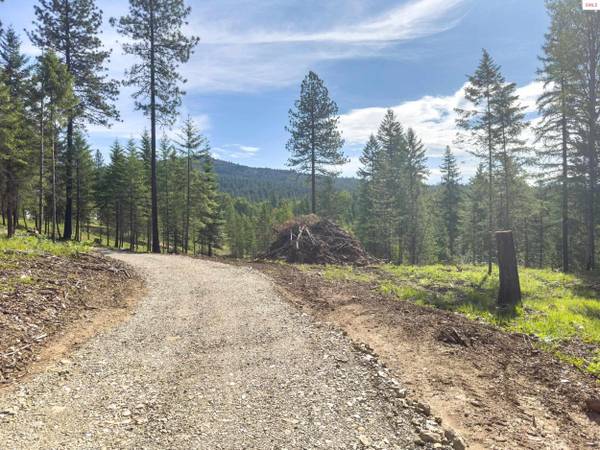 217 Gold Mountain Drive (12.01 Acres), Sagle, ID 83860