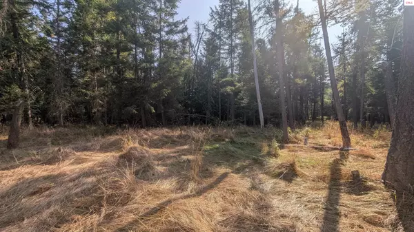 NKA Highway 95, Cocolalla, ID 83813