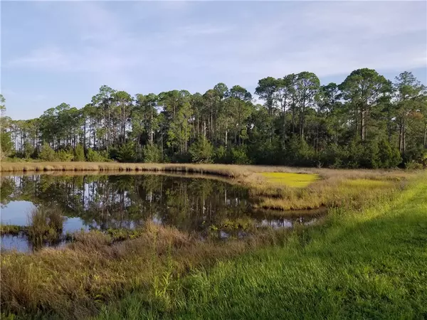 Fernandina Beach, FL 32034,LOT 29A PINEY ISLAND Drive