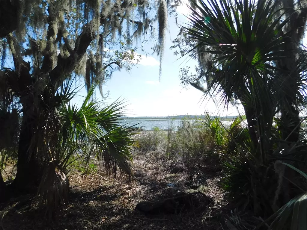 Fernandina Beach, FL 32034,96238 SOAP CREEK Drive