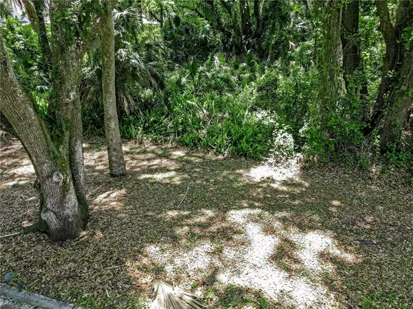 Fernandina Beach, FL 32034,Lot 34 PINEY ISLAND Drive