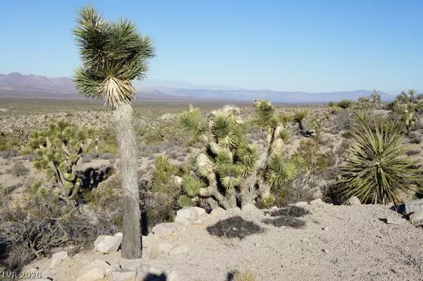 Searchlight, NV 89046,Grandpa's Road