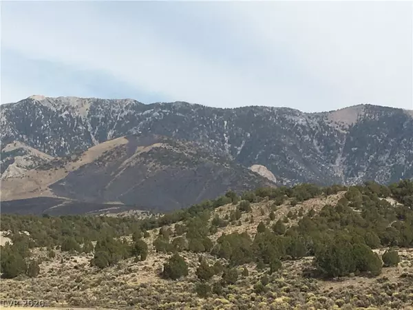 Ely, NV 89301,North Duck Creek Basin